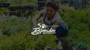 blomidon